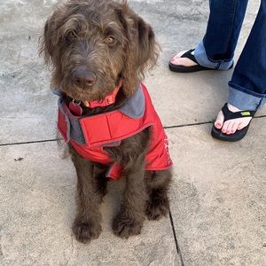 Meet your Posher, Donna